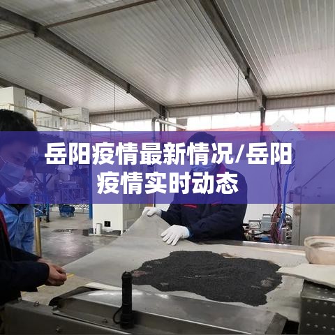 岳阳疫情最新情况/岳阳疫情实时动态 岳阳疫情最新情况/岳阳疫情实时动态