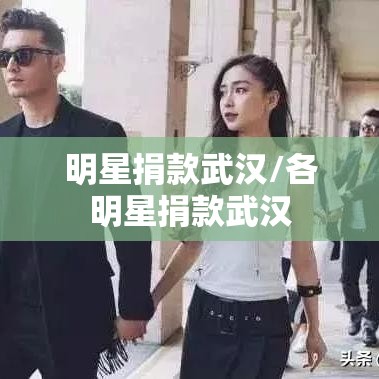 明星捐款武汉/各明星捐款武汉 明星捐款武汉/各明星捐款武汉