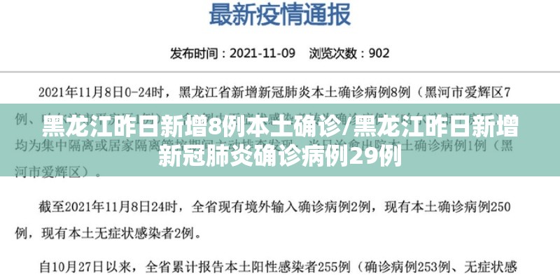 黑龙江昨日新增8例本土确诊/黑龙江昨日新增新冠肺炎确诊病例29例 黑龙江昨日新增8例本土确诊/黑龙江昨日新增新冠肺炎确诊病例29例