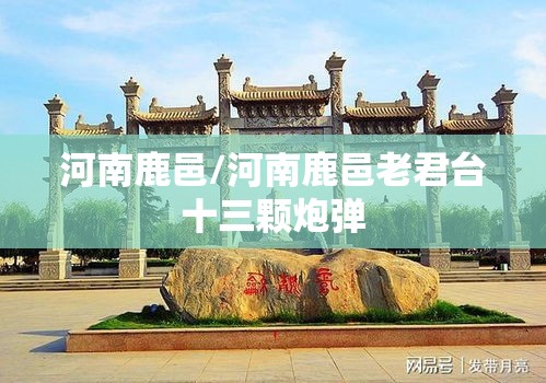 玩家必看皮皮跑胡子怎么操作详细开挂步骤