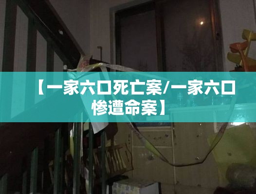 经验传递“微乐家乡开挂专用辅助器”原来确实有挂