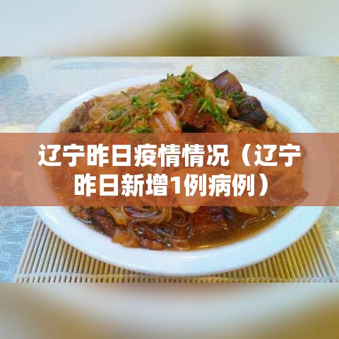 辽宁昨日疫情情况（辽宁昨日新增1例病例）