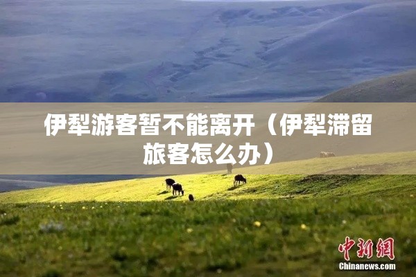 伊犁游客暂不能离开（伊犁滞留旅客怎么办）