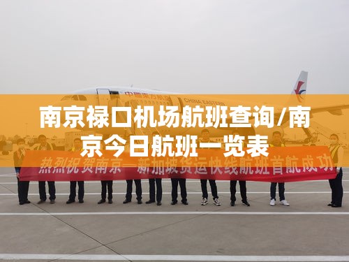 南京禄口机场航班查询/南京今日航班一览表