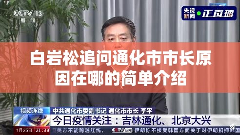 白岩松追问通化市市长原因在哪的简单介绍