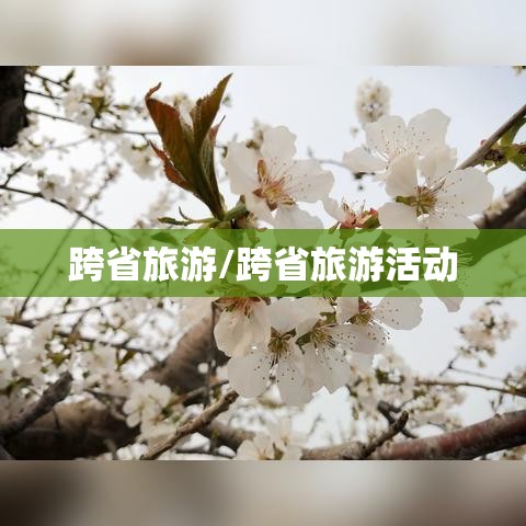 跨省旅游/跨省旅游活动