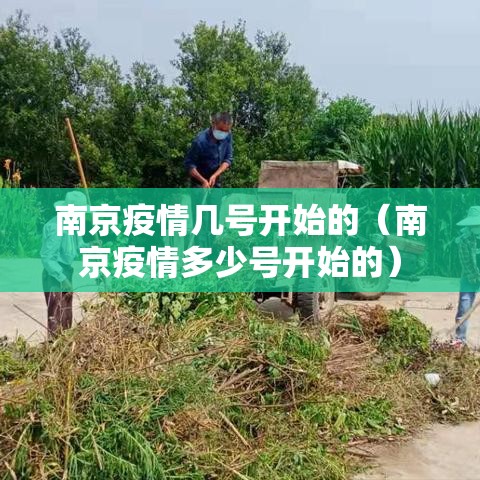 实测普及“月亮大厅原来有挂”详细开挂教材