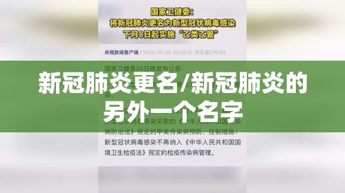 大家普及一下梧桐树怎么才能赢详细开挂教程 大家普及一下梧桐树怎么才能赢详细开挂教程