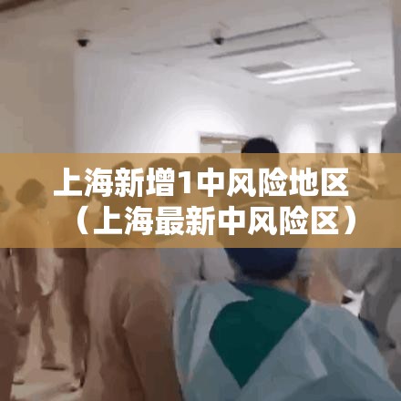 实测推荐“炫酷众娱插件是真的吗”原来真的有挂