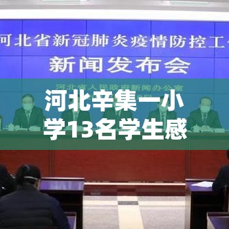 重大发现“大胜跑得快开挂神器”详细开挂教程