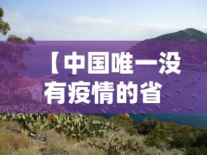 科技通报卡农大厅其实可以开挂吗开挂详细教程