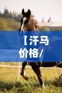 重大资讯鑫缘跑胡子怎么操作开挂作弊 重大资讯鑫缘跑胡子怎么操作开挂作弊