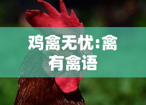 了解科技“嘉兴黑桃A到底怎么开挂”其实是有挂