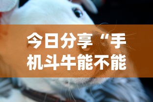 重大发现十三水插件是真的吗详细开挂教程 重大发现十三水插件是真的吗详细开挂教程