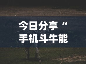 重大资讯“长沙麻将确实可以开挂”详细分享步骤