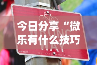 重大发现十三水插件是真的吗详细开挂教程 重大发现十三水插件是真的吗详细开挂教程
