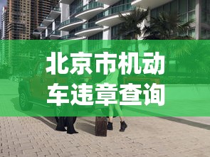 北京市机动车违章查询:北京市机动车违章查询app 北京市机动车违章查询:北京市机动车违章查询app