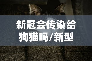 每日科技“朋友贵州麻将究竟有没有挂”开挂方法