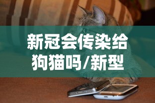 每日科技“朋友贵州麻将究竟有没有挂”开挂方法