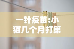玩家必看“聚友互娱开挂专用辅助器	”玩家必备神器
