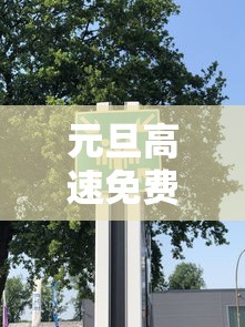 玩家必看“东游三张牌辅助软件”下载教程