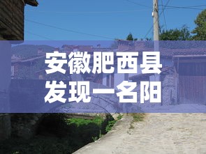 辅助教程分享“九九牌游十三水辅助工具”事实上确实有挂