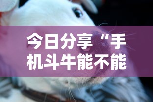 今日分享“手机斗牛能不能开挂”其实确实有挂