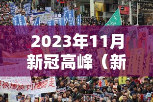 今日重大通报“竹园茶楼透视专用脚本”详细分享步骤