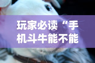 限时分享“九九牌游十三水是可以开挂	”真可以装挂
