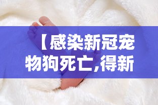 重大来袭牵手跑胡子有挂没开挂步骤方法