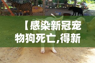 重磅来袭“大众娱乐有没有起手好牌挂”事实上确实有挂
