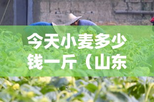 分享技术“财神棋牌必赢神器”真的有挂