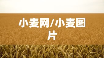 最新消息“欢聚茶楼到底要怎么用挂	”详细分享步骤