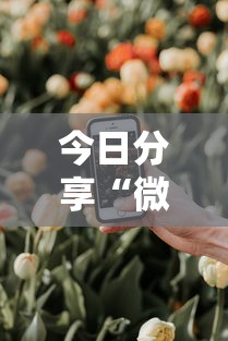 推荐一款广西跑胡子有挂么详细分享步骤