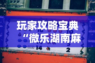 最新消息“东游三张牌有没有辅助工具”开挂详细教程