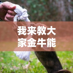 我来教教大家新时代黑科技玩家必备神器