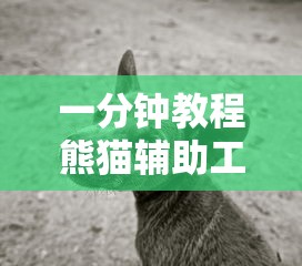 【版纳疫情/版纳最新重大事件】 【版纳疫情/版纳最新重大事件】