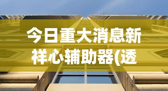 今日重大消息新祥心辅助器(透视)其实确实有挂