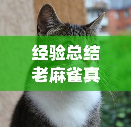 发现一款福乐游贰柒拾到底能不能开挂开挂必胜方法