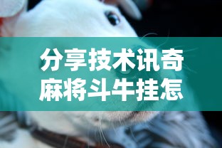 分享技术讯奇麻将斗牛挂怎么卖其实确实有挂