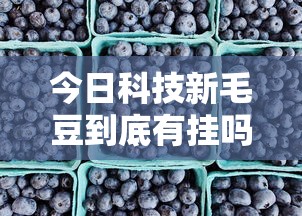 重大资讯“中至抚州麻将有没有辅助工具”开挂教学