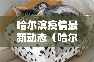 最新消息“点点四川长牌怎么开挂”揭秘曝光猫腻