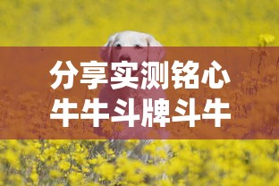重大通报悠乐汇有挂吗的确有挂开挂方法 重大通报悠乐汇有挂吗的确有挂开挂方法