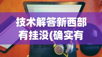 技术解答新西部有挂没(确实有挂)