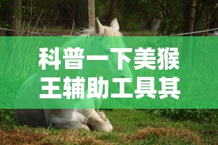 科普一下美猴王辅助工具其实是有挂