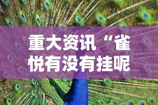 重大资讯“雀悦有没有挂呢”2026用挂