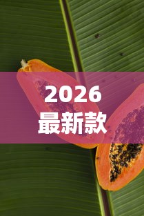2026最新款新蜜瓜有挂没开挂方法