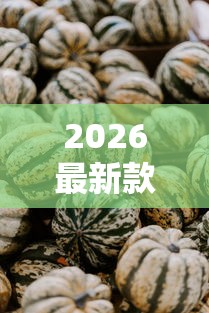 2026最新款新蜜瓜有挂没开挂方法