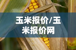 限时分享“微乐四川麻将辅助挂	”开挂详细教程