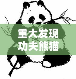 重大发现功夫熊猫有挂吗确实有挂可以透视